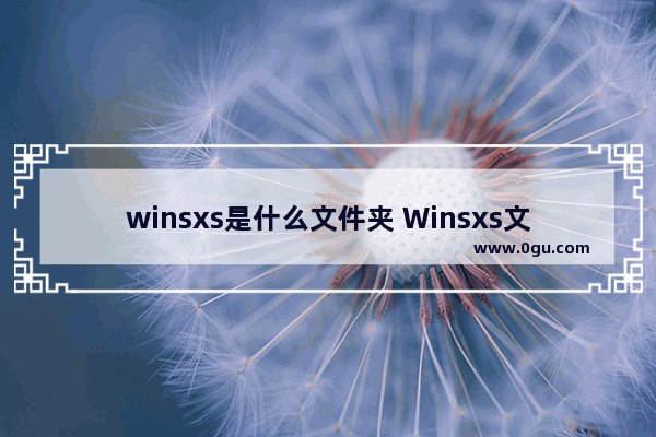 winsxs是什么文件夹 Winsxs文件夹可以删除吗