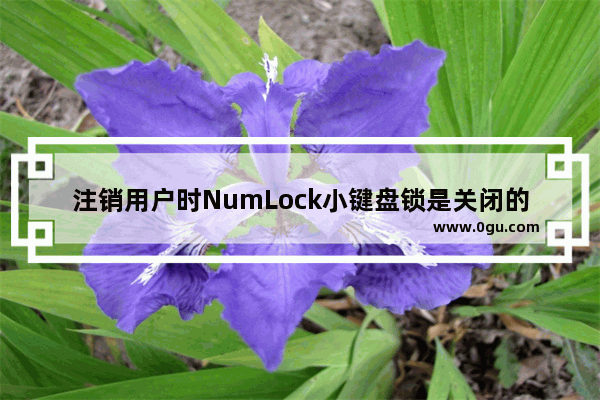 注销用户时NumLock小键盘锁是关闭的怎么打开