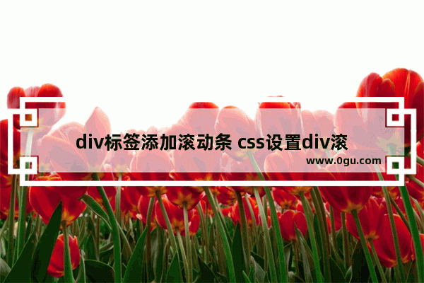 div标签添加滚动条 css设置div滚动条位置