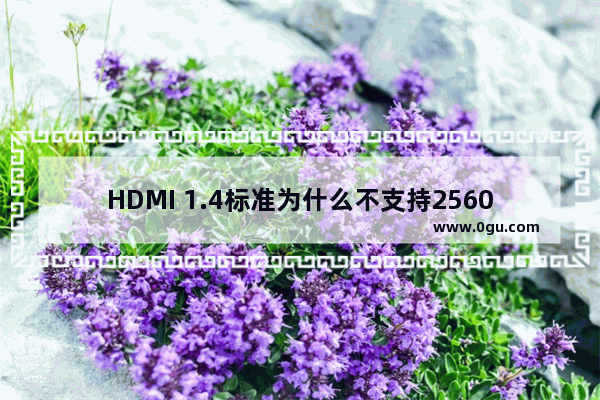 HDMI 1.4标准为什么不支持2560*1440分辨率显示器