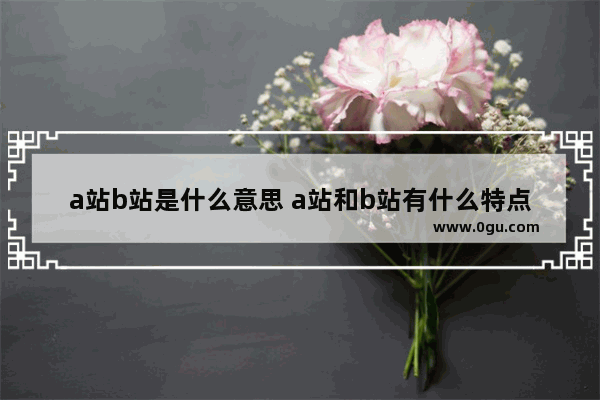 a站b站是什么意思 a站和b站有什么特点与区别