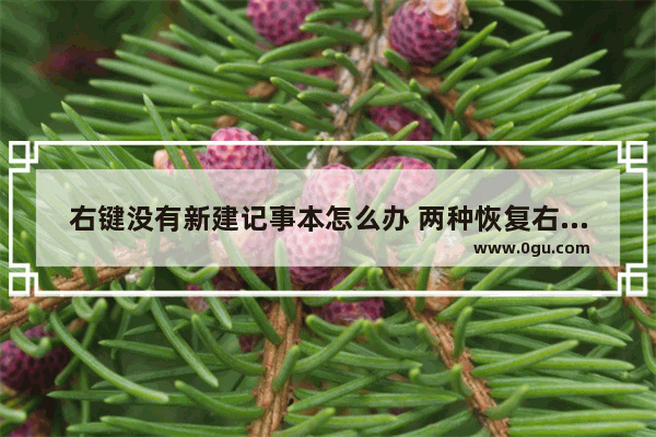 右键没有新建记事本怎么办 两种恢复右键新建记事本菜单选项的方法图解