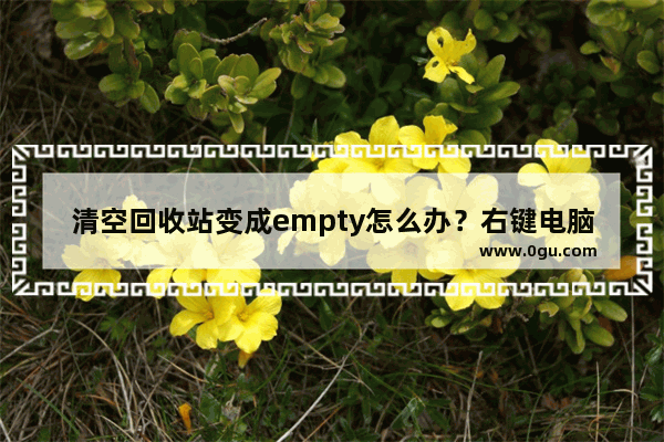 清空回收站变成empty怎么办？右键电脑我的回收站显示empty解决方法