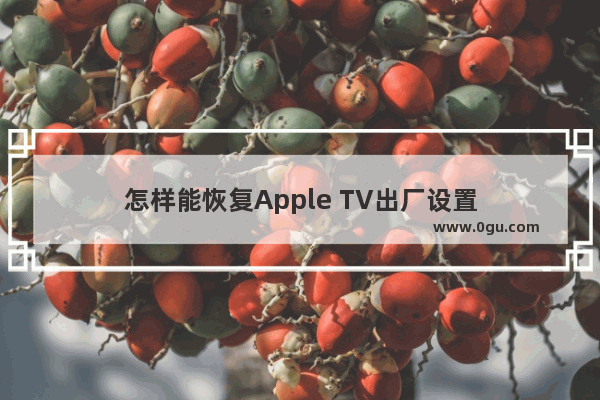 怎样能恢复Apple TV出厂设置