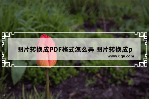 图片转换成PDF格式怎么弄 图片转换成pdf软件哪个好用