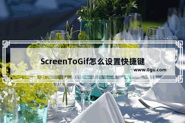 ScreenToGif怎么设置快捷键