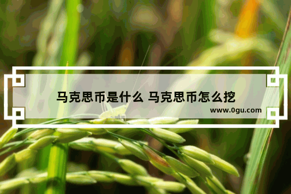 马克思币是什么 马克思币怎么挖