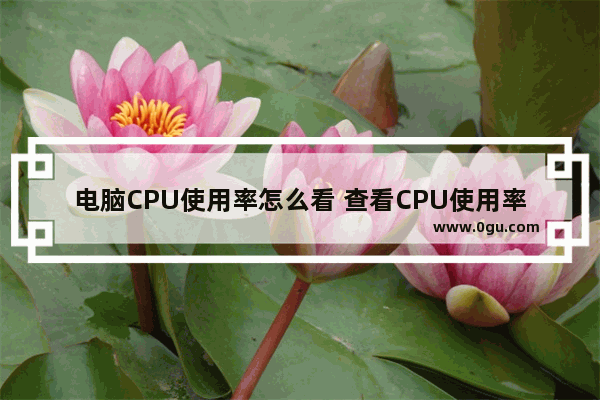 电脑CPU使用率怎么看 查看CPU使用率的快速方法图解