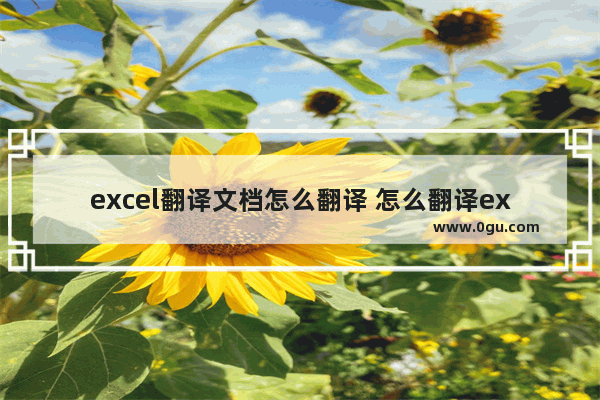 excel翻译文档怎么翻译 怎么翻译excel文档