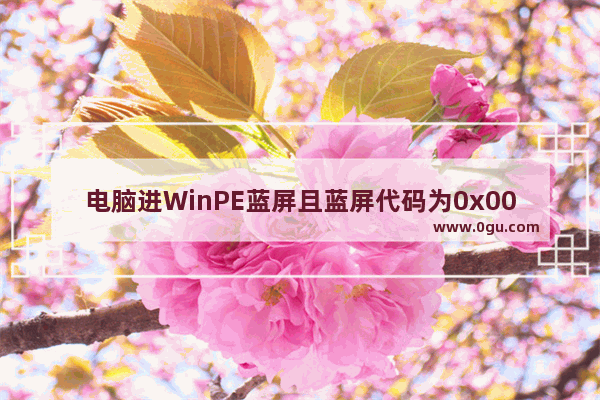 电脑进WinPE蓝屏且蓝屏代码为0x000000B4