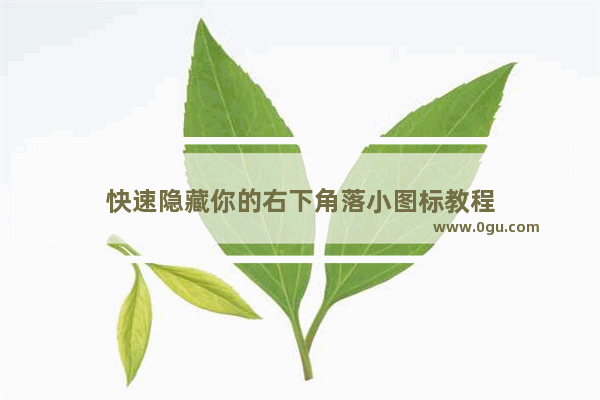 快速隐藏你的右下角落小图标教程