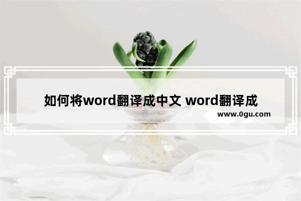 如何将word翻译成中文 word翻译成中文怎么操作