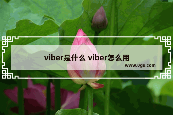 viber是什么 viber怎么用