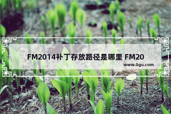 FM2014补丁存放路径是哪里 FM2014补丁存放位置说明