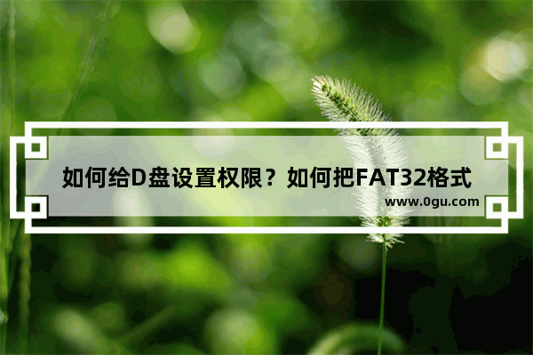 如何给D盘设置权限？如何把FAT32格式改成ntfs格式