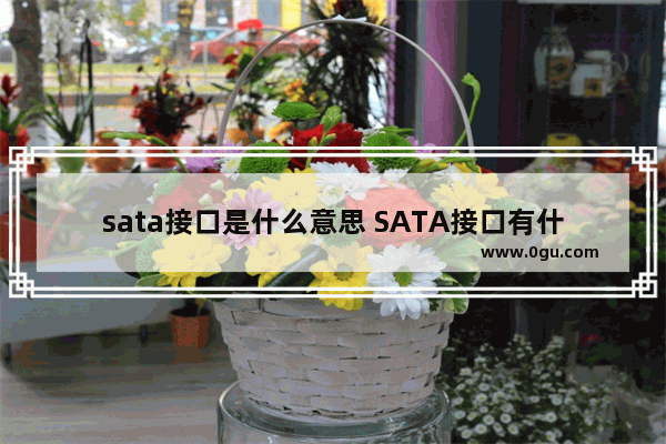 sata接口是什么意思 SATA接口有什么用