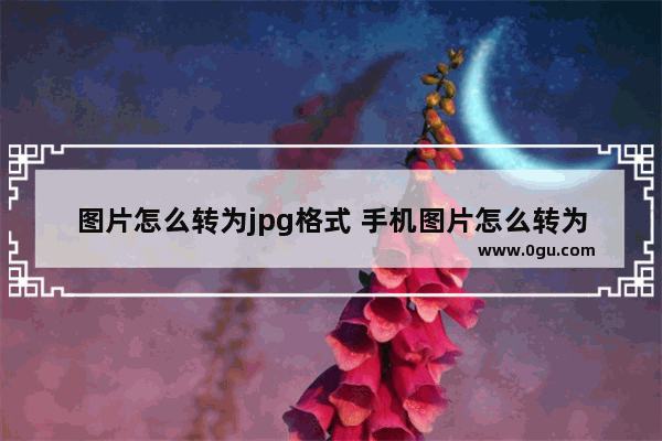 图片怎么转为jpg格式 手机图片怎么转为jpg格式文件