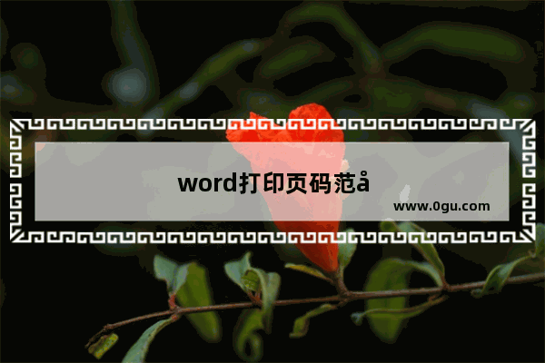 word打印页码范围不对