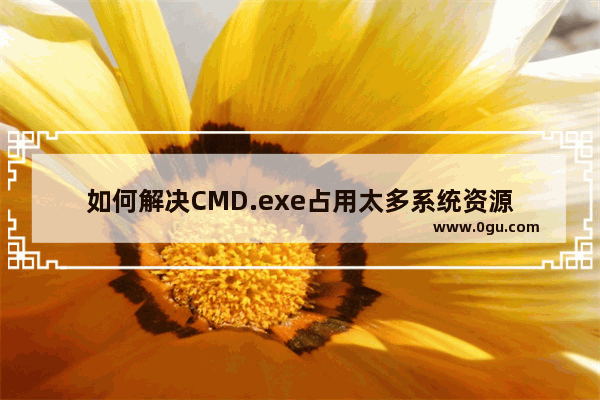 如何解决CMD.exe占用太多系统资源