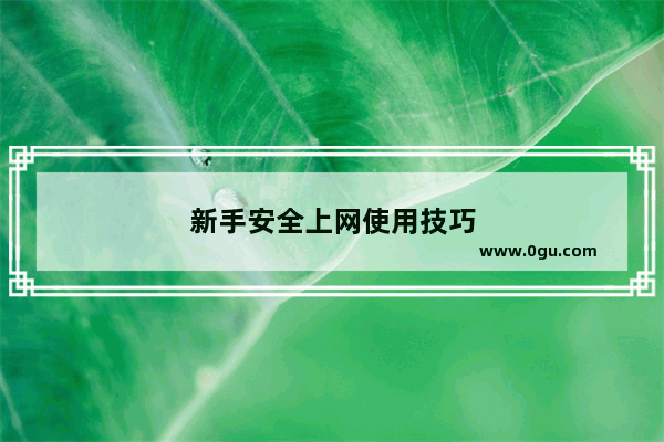 新手安全上网使用技巧