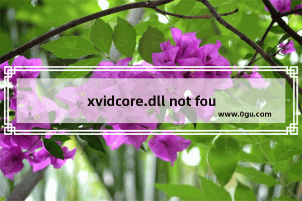 xvidcore.dll not found怎么办 xvidcore.dll错误的解决方法介绍