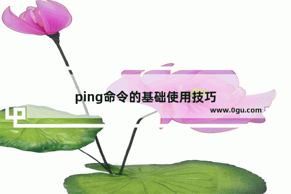 ping命令的基础使用技巧