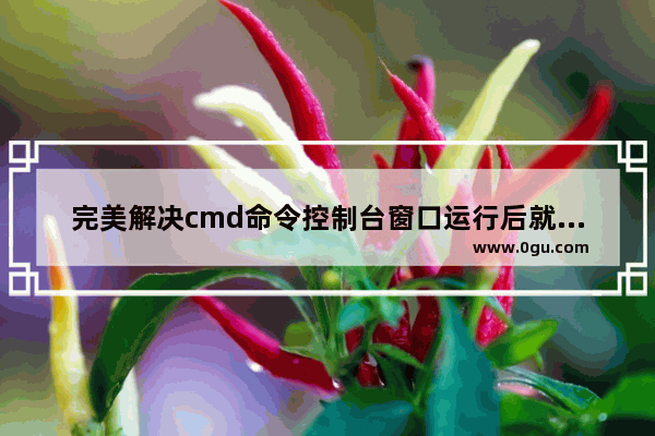 完美解决cmd命令控制台窗口运行后就一闪而过消失的问题方法介绍