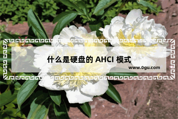 什么是硬盘的 AHCI 模式