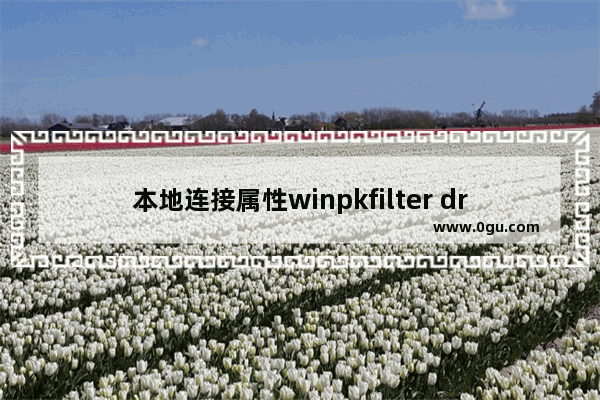 本地连接属性winpkfilter driver是什么及WinpkFilter for Win的含义