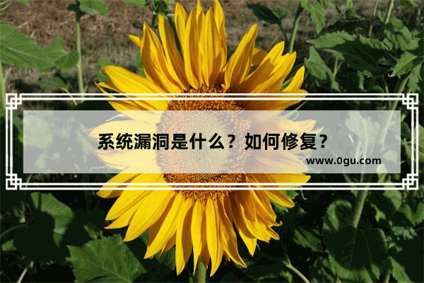 系统漏洞是什么？如何修复？