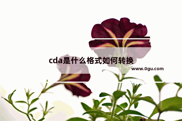 cda是什么格式如何转换