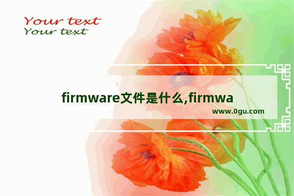 firmware文件是什么,firmware是什么意思