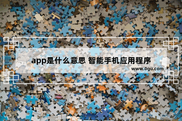 app是什么意思 智能手机应用程序