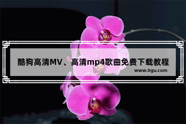 酷狗高清MV、高清mp4歌曲免费下载教程方法介绍