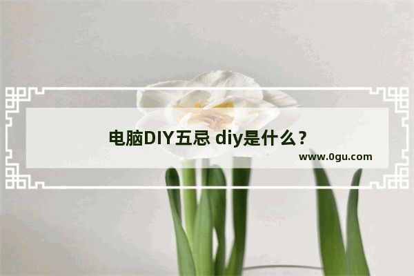 电脑DIY五忌 diy是什么？