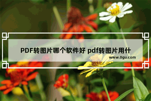 PDF转图片哪个软件好 pdf转图片用什么软件