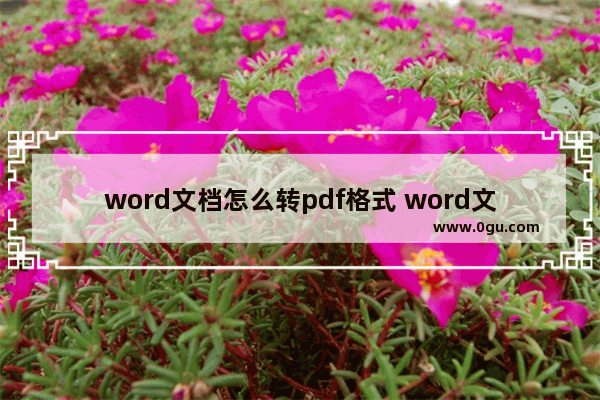 word文档怎么转pdf格式 word文档转pdf格式怎么弄