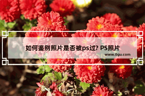 如何鉴别照片是否被ps过? PS照片