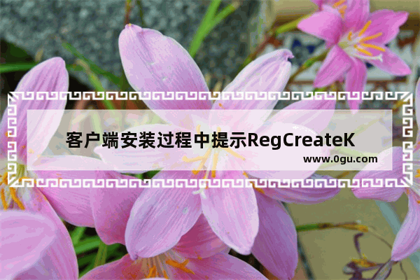 客户端安装过程中提示RegCreateKeyEx失败.错误码5