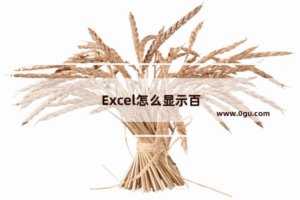 Excel怎么显示百分比 excel怎么显示百分比条