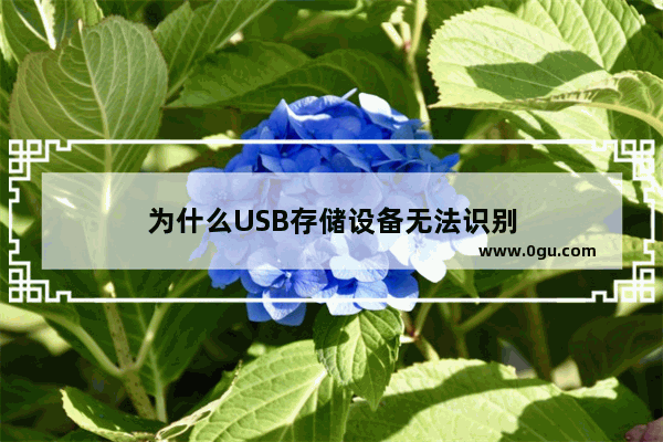 为什么USB存储设备无法识别