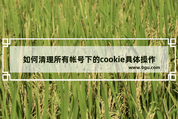 如何清理所有帐号下的cookie具体操作步骤