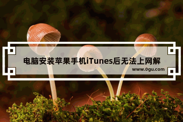 电脑安装苹果手机iTunes后无法上网解决方案