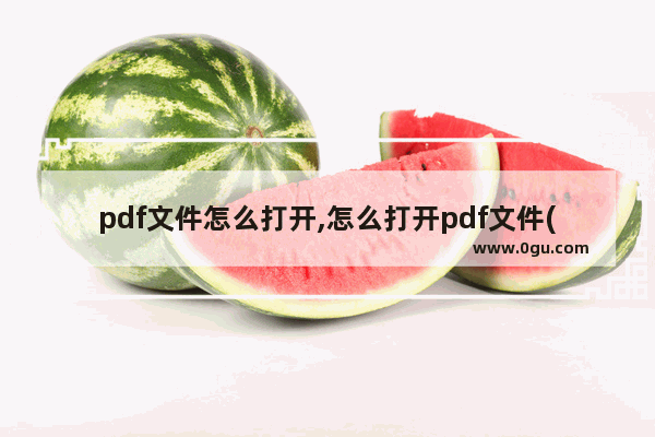 pdf文件怎么打开,怎么打开pdf文件(图文详细解决方法)