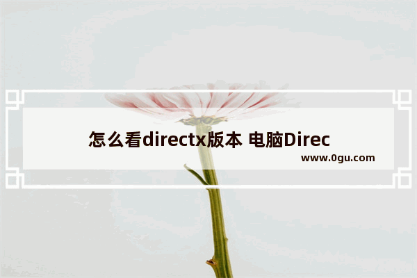 怎么看directx版本 电脑DirectX版本怎么看