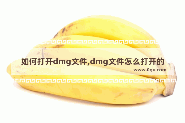 如何打开dmg文件,dmg文件怎么打开的解决方法