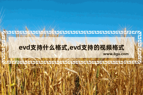 evd支持什么格式,evd支持的视频格式(详细说明)