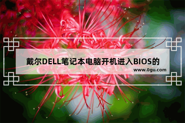 戴尔DELL笔记本电脑开机进入BIOS的方法(电脑光盘优先启动)