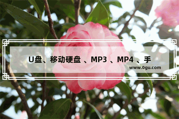 U盘、移动硬盘 、MP3 、MP4 、手机 、存储卡中毒了如何解决