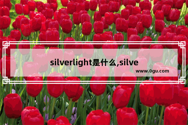 silverlight是什么,silverlight教程